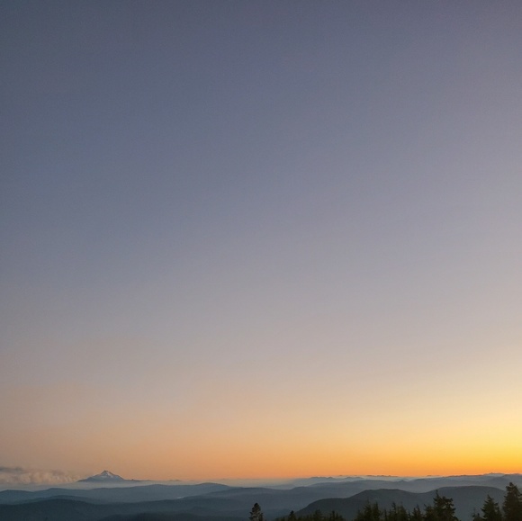 Meet your Posher, Mckenzie - Picture 1 of 1